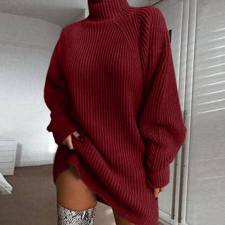 Half Turtleneck Sweater Dress